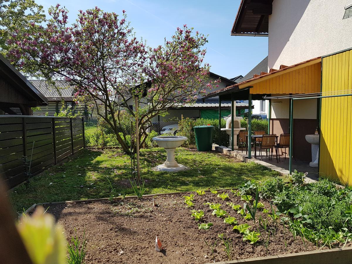Apartment Manca Ljubljana Ngoại thất bức ảnh